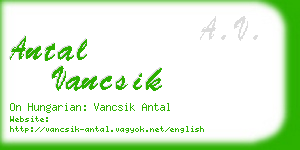 antal vancsik business card